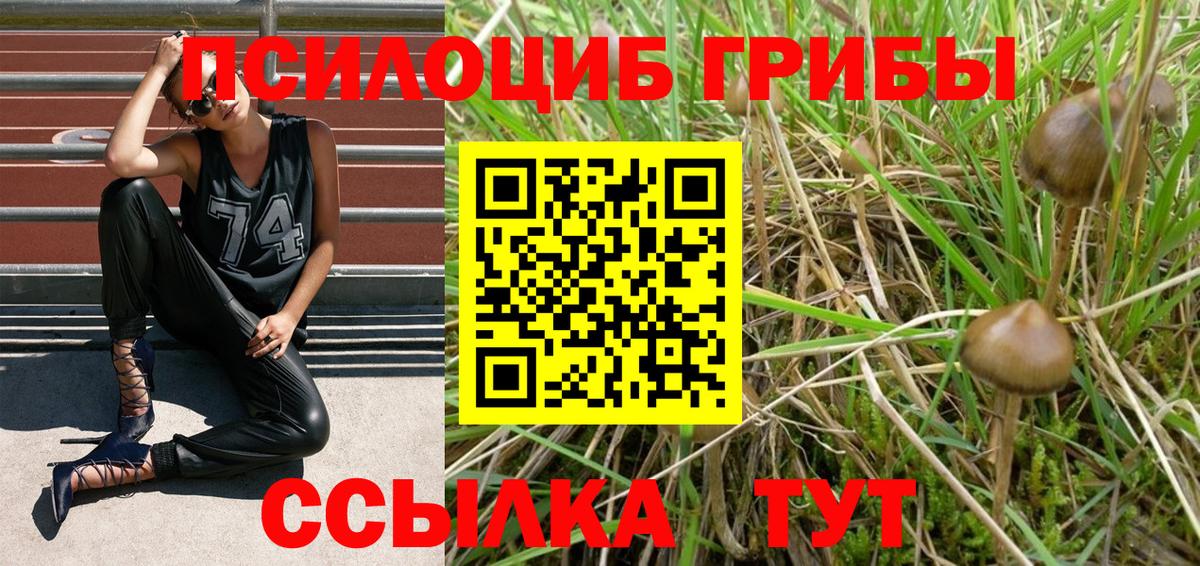 Улан-Удэ  Псилоцибиновые грибы Psilocybe  купить закладку  Вход с VPN 